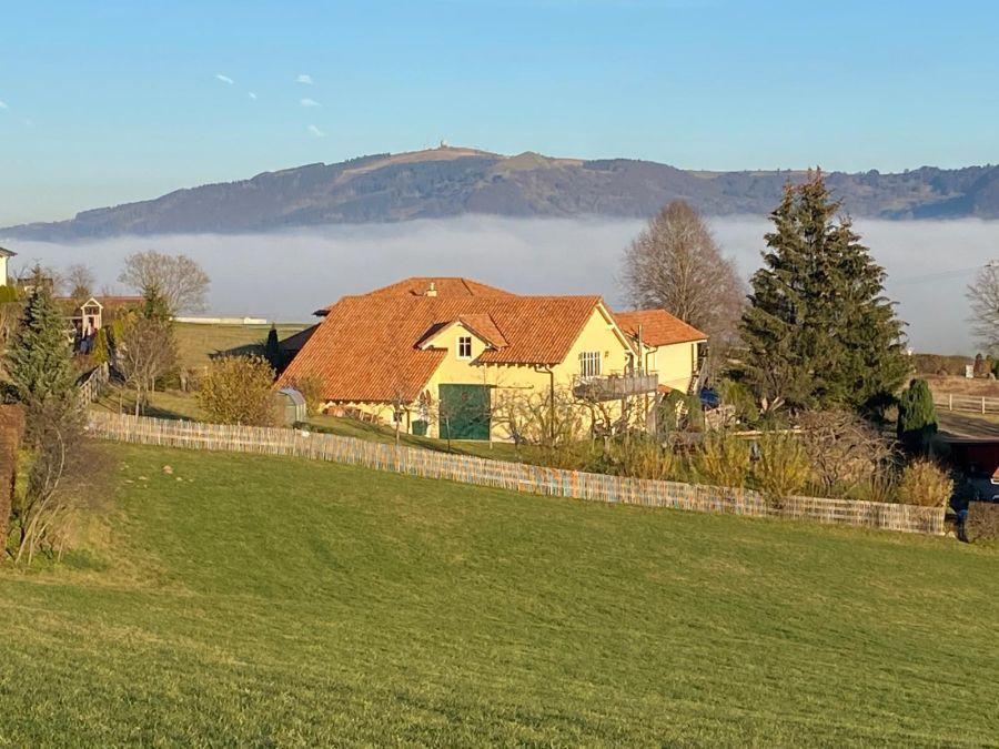 Haus Rückseite - Tal im Nebel