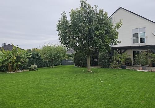 Gartentraum im Sommer2