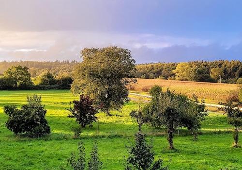 Blick Richtung Westen
