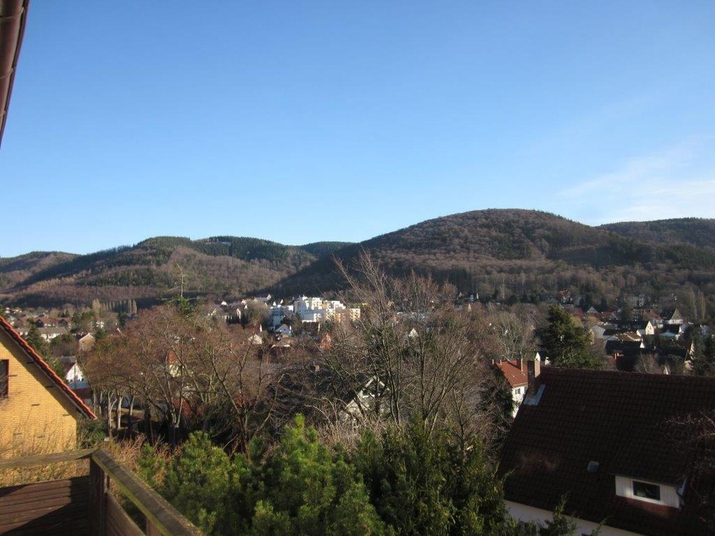 Ausblick Südbalkon