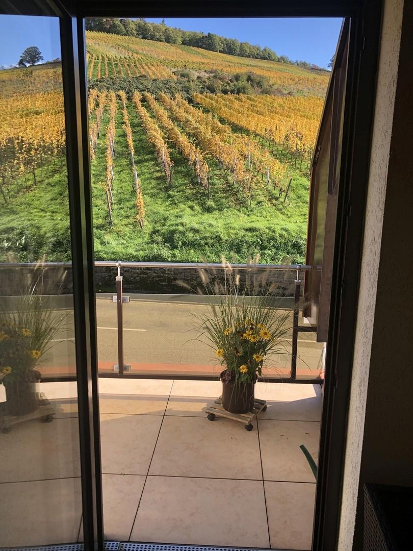 Kleiner Balkon Rebhang