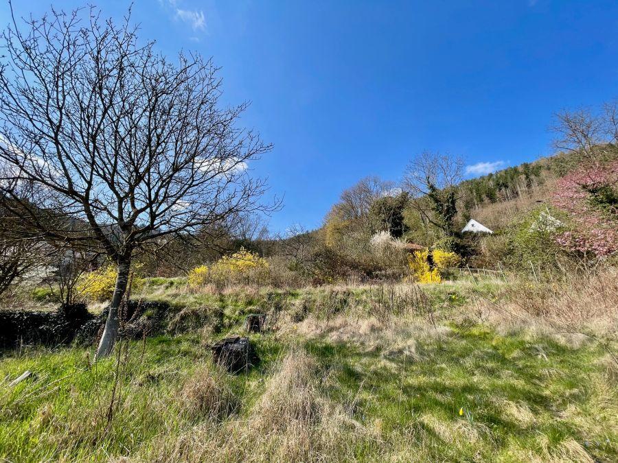 Zusätzlicher Garten (optional) - Blick Nord