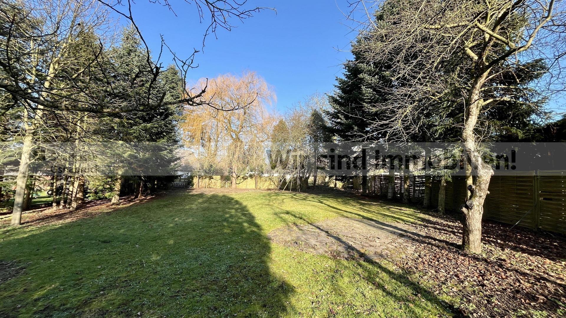 Blick in den hinteren Garten