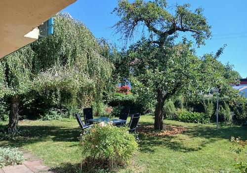 Garten vom Wohnzimmer aus