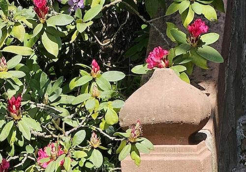 Haupteingang Sandsteintreppe