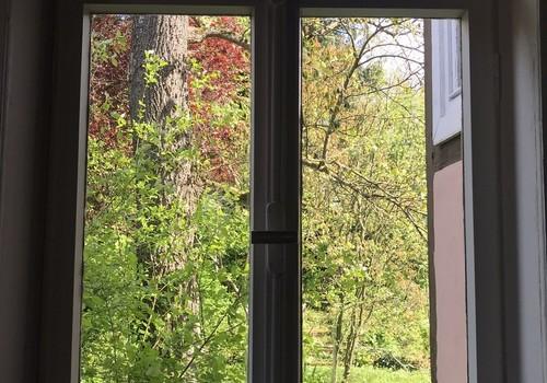 Ausblick in den Garten, 1. OG