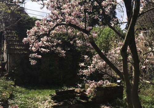 Garten mit gemauerten Grill