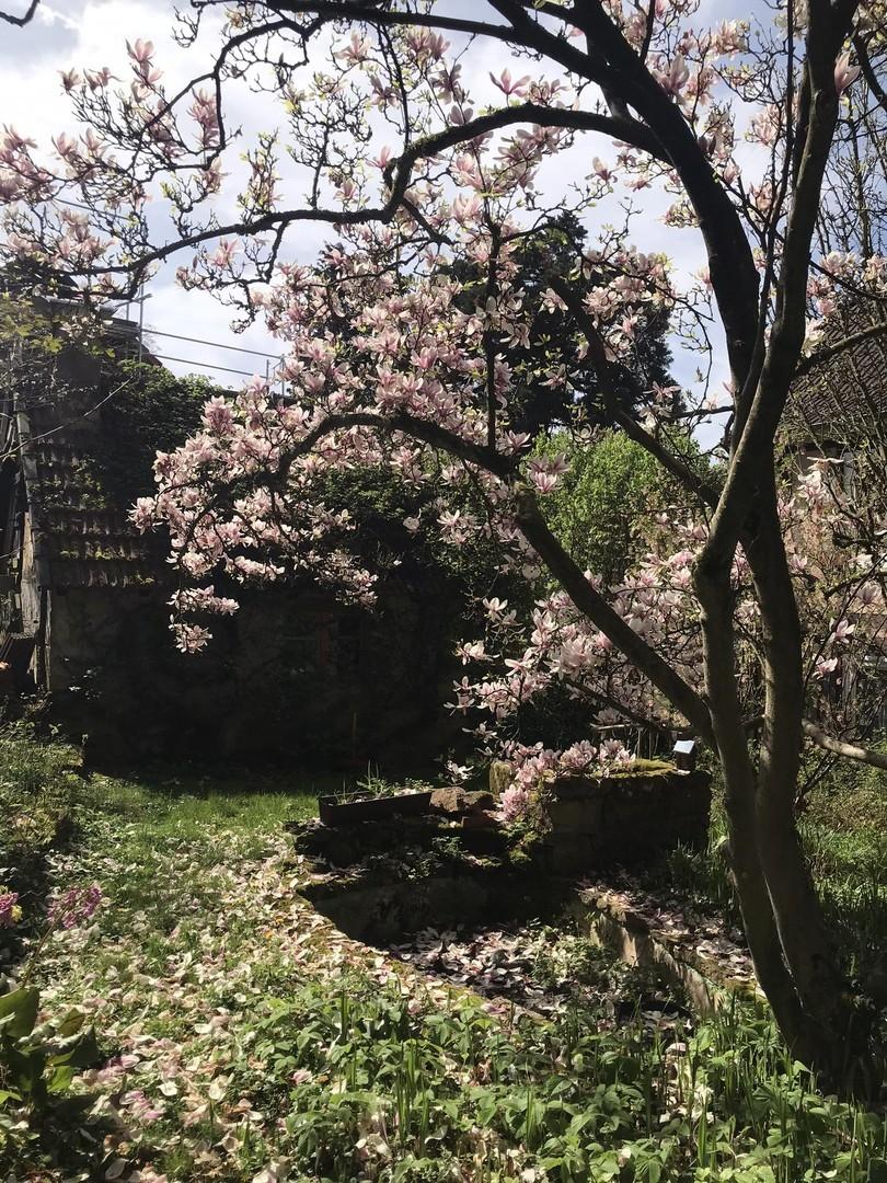 Garten mit gemauerten Grill