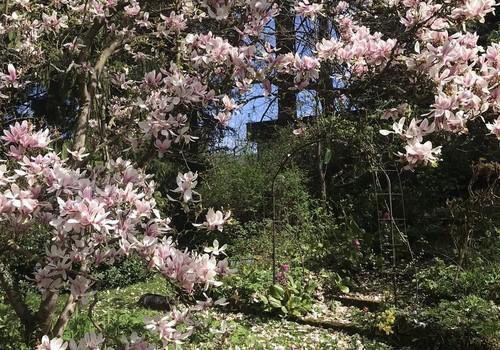 Treppe zum alten Steintisch