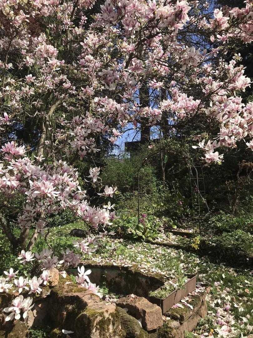 Treppe zum alten Steintisch