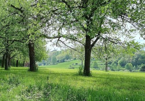 Impressionen Spazierweg