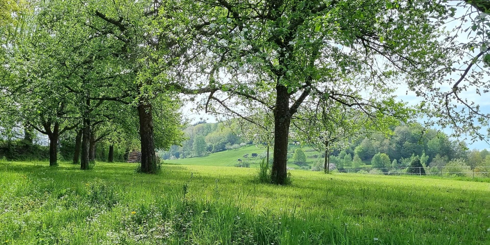Impressionen Spazierweg
