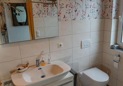 Gäste-WC mit Dusche EG