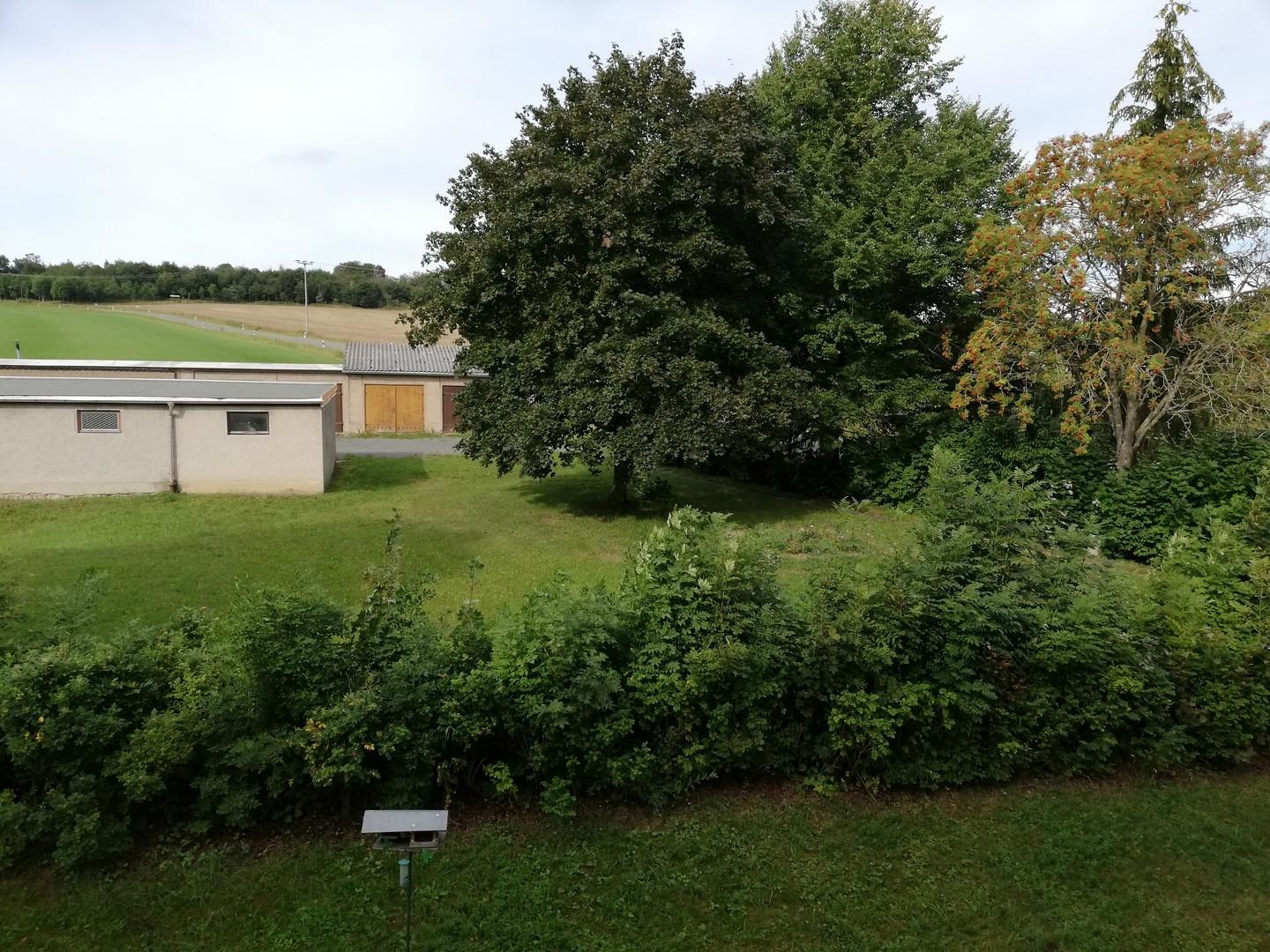 Blick aus dem Fenster