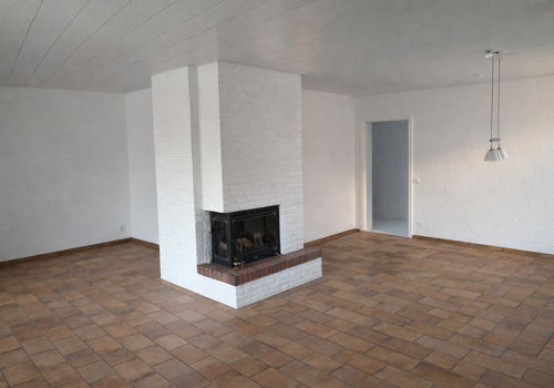 WZ mit Kamin und Essecke