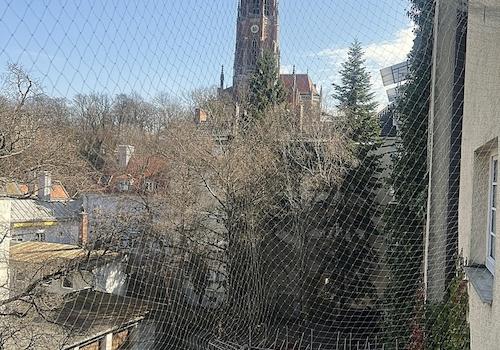 Blick vom Balkon -> Osten