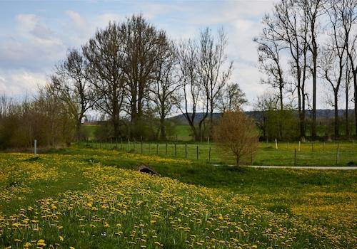 Aussicht im Frühjahr
