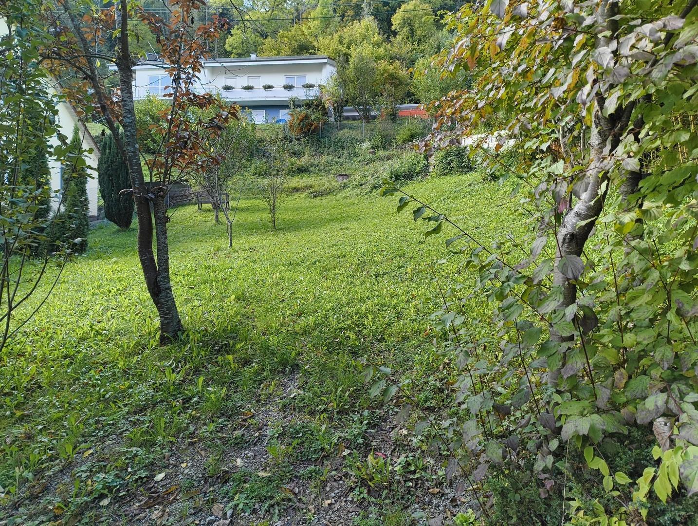 A-Bauplatz, Obstwiese