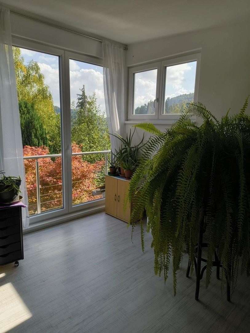 A-DG WZ Ecke