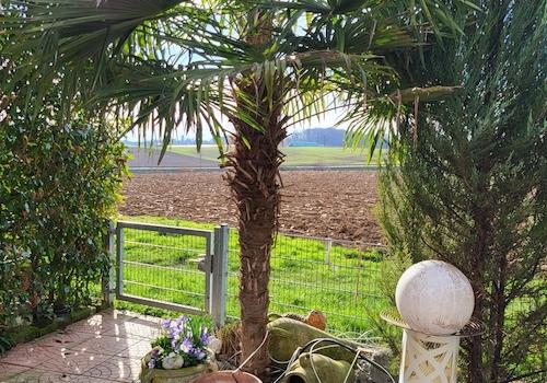 Terrasse (Bild vom Sommer)