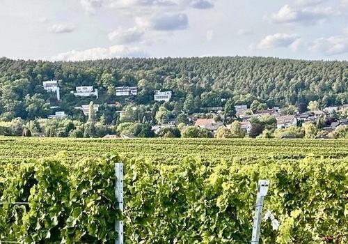 Wohnen in topp Lage einmalig!