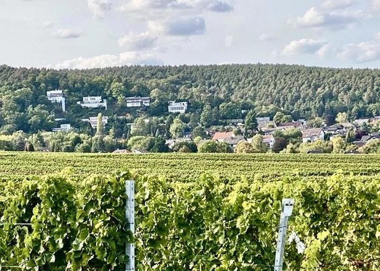 Wohnen in topp Lage einmalig!