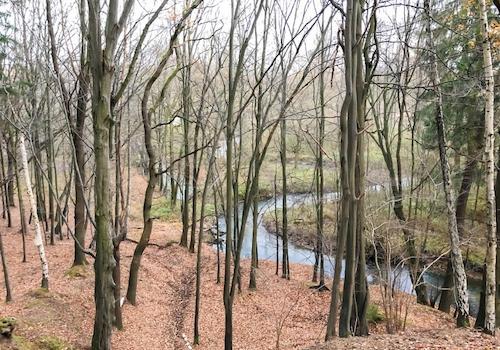 Wesenitz-Romantik (2)