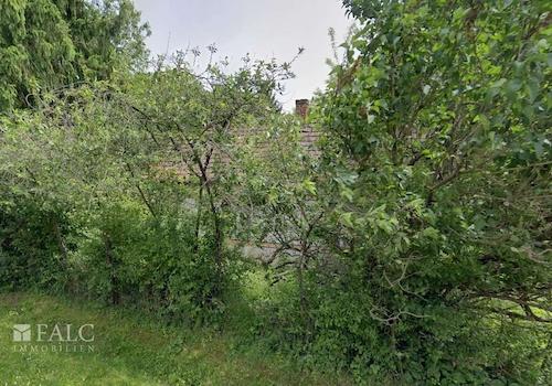 Ashampoo Snap Samstag, . September  hms