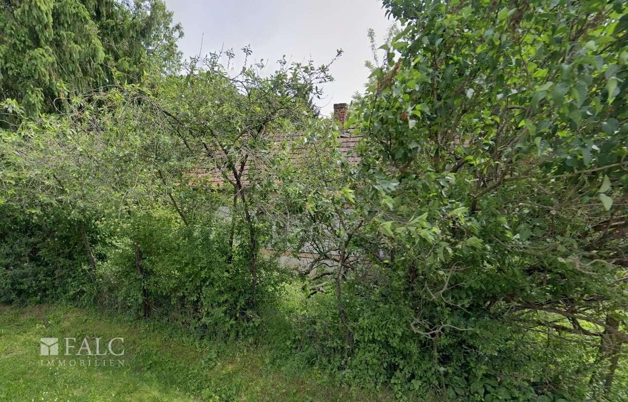 Ashampoo Snap Samstag, . September  hms