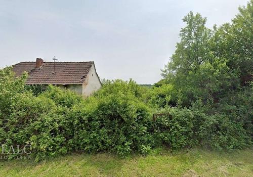 Ashampoo Snap Samstag, . September  hms