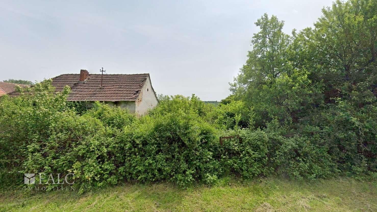 Ashampoo Snap Samstag, . September  hms