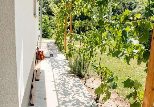 65029-2471-8-g - (KI generiert)