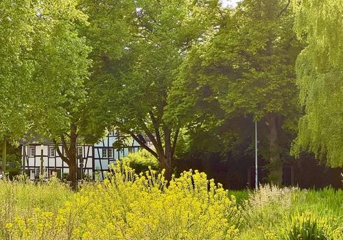 Weg am Bach zur Buchmühle