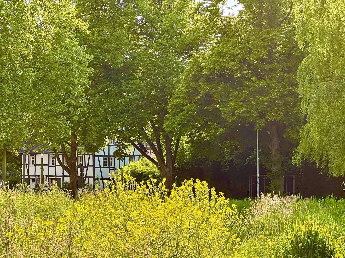 Weg am Bach zur Buchmühle