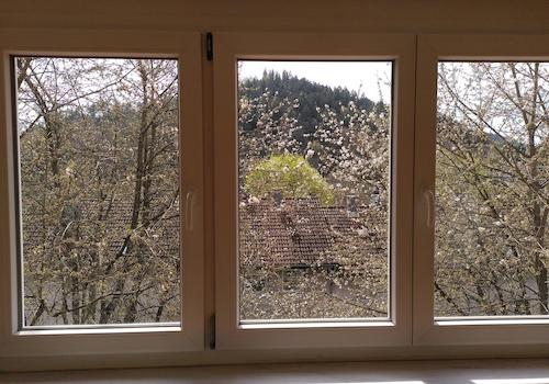 Blick aus Wohnzimmer