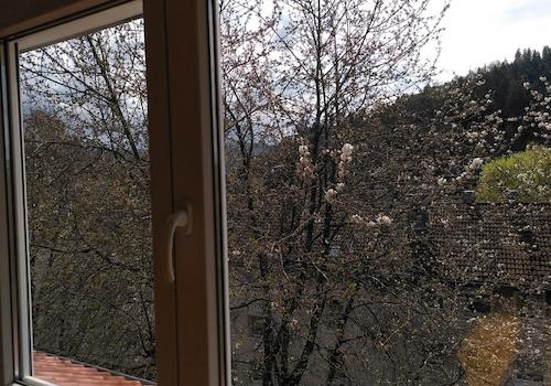 Blick aus Wohnzimmer