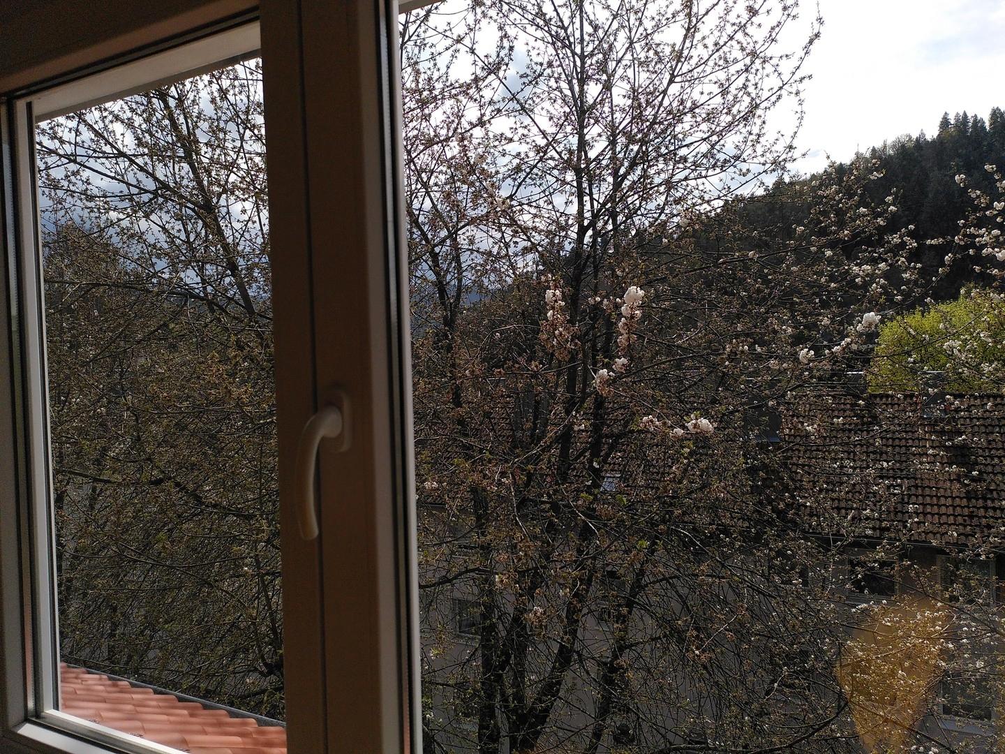 Blick aus Wohnzimmer