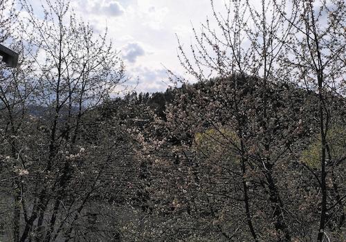 Blick aus Wohnzimmer