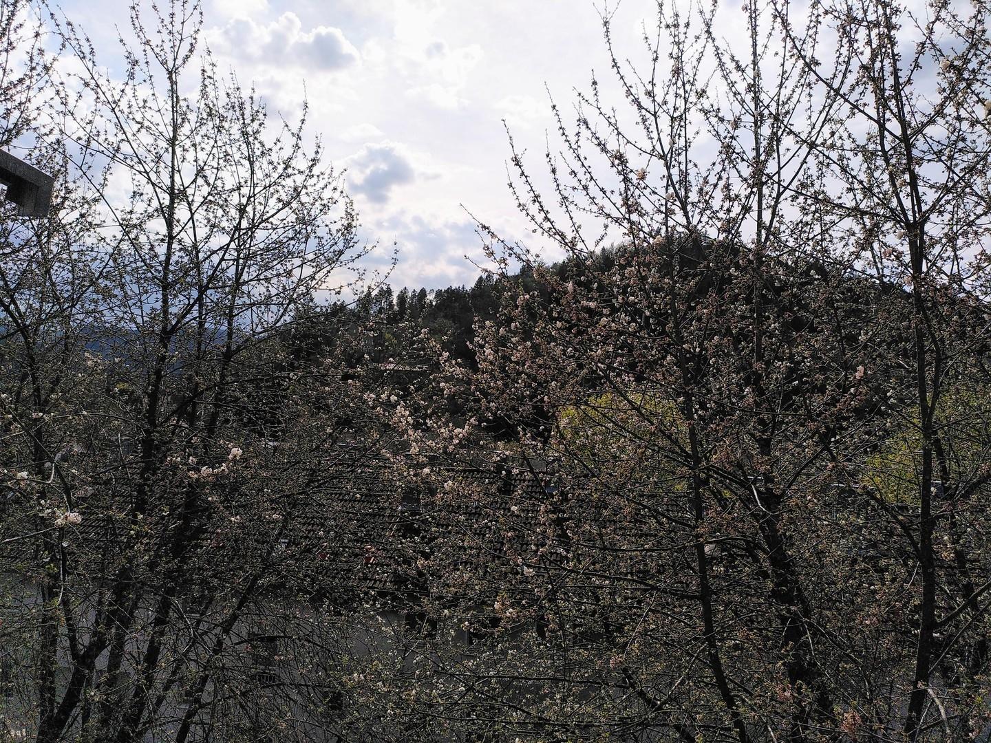 Blick aus Wohnzimmer