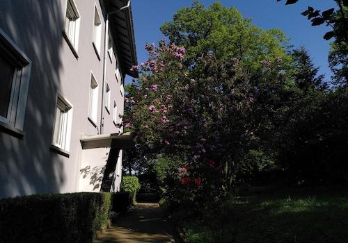 Außenanlage Frühsommer