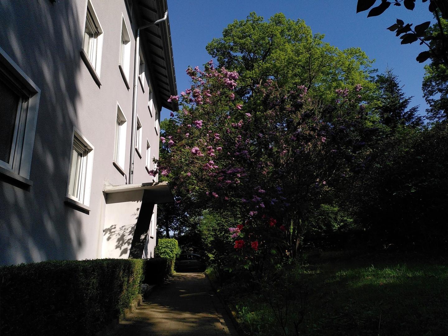 Außenanlage Frühsommer