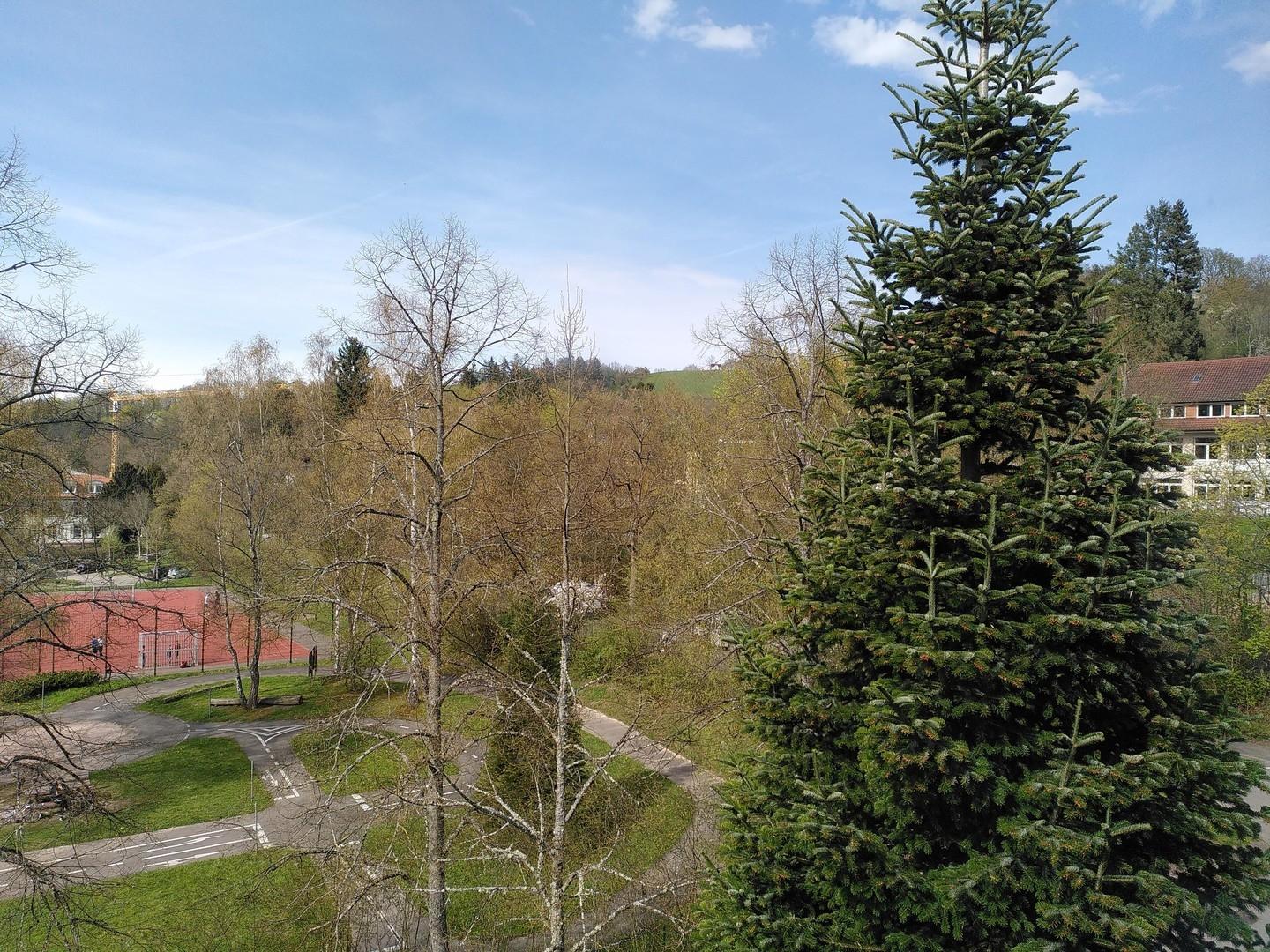 Blick aus Kinderzimmer