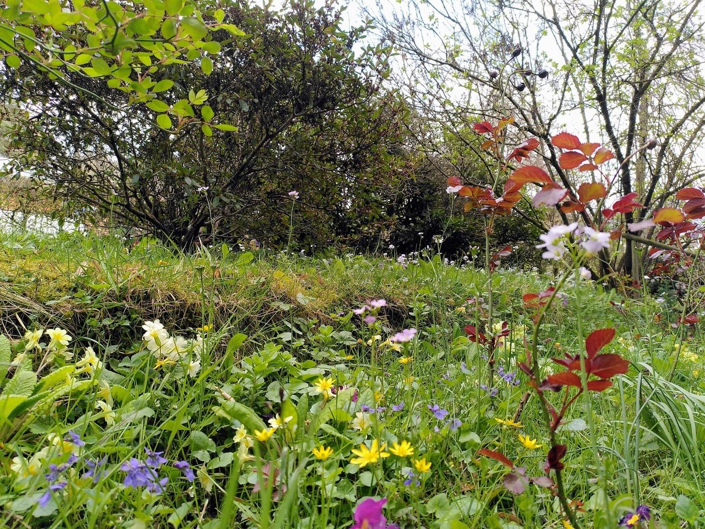 Bepflanzung vorm Haus