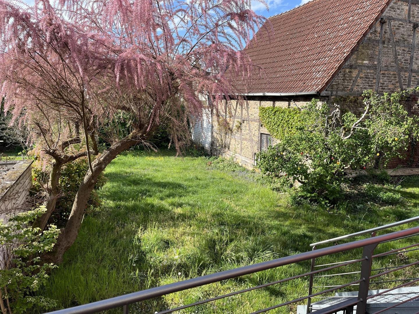 Garten (ohne Fachwerkhaus)