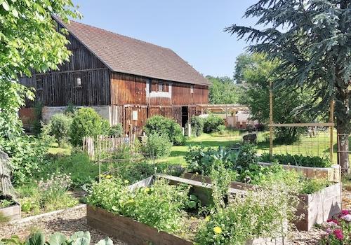 Gemüsegarten_und_Scheune 