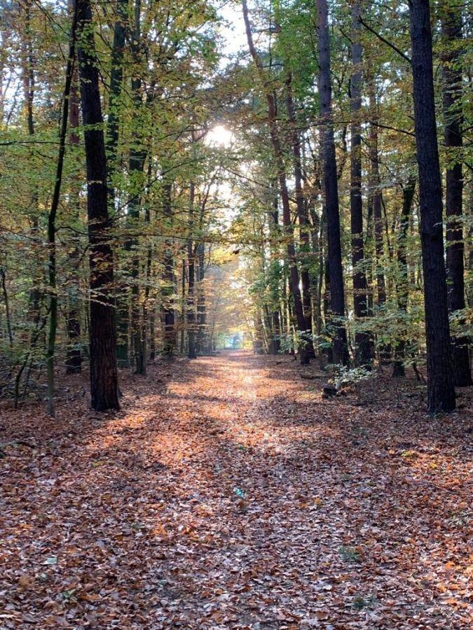 2068252e-13ee-4d7e-a35f-def9c6fe7a4a