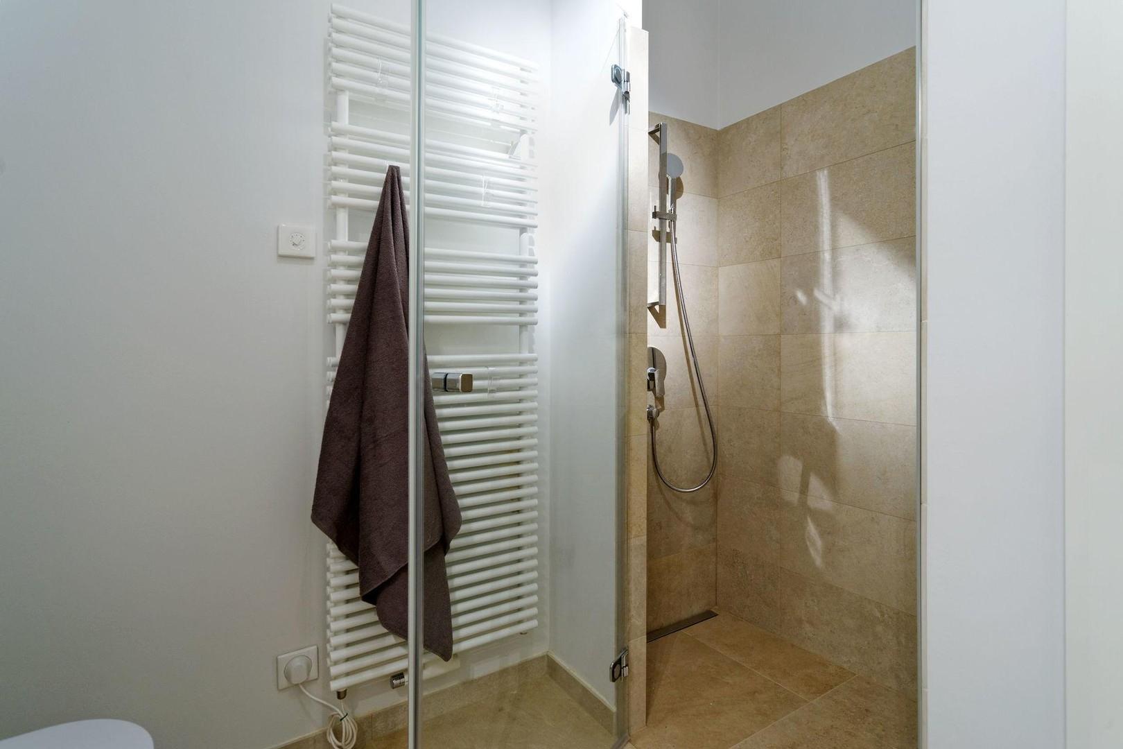 Walk-in-Dusche Hauptbad