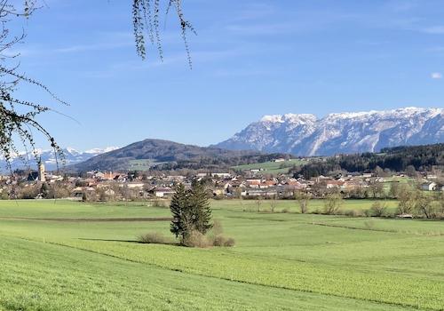 Blick auf Teisendorf 