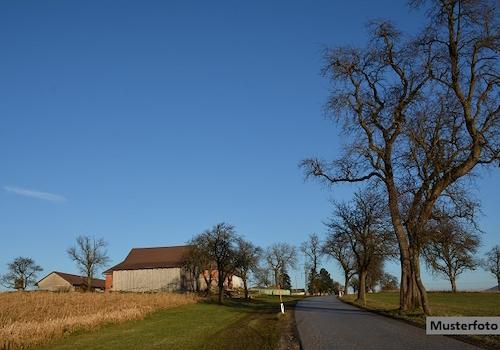 Keine Originalbilder