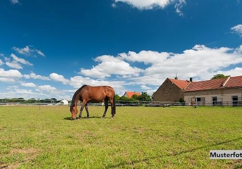 Keine Originalbilder